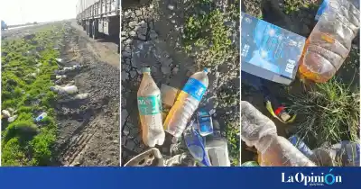 El minibasural que crece en un barrio de Río Gallegos y el insólito pedido de los vecinos