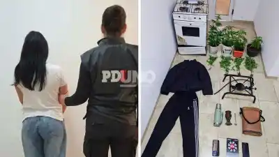 Allanaron su casa por un robo, pero lo que apareció adentro cambió la investigación