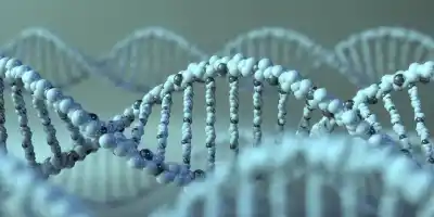 ¿Una prueba infalible? El ADN encontró su límite en un caso que desafía a la ciencia forense