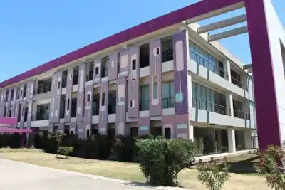 Cuatro vecinos de Concarán bajo estudio: Salud investiga un brote sospechoso