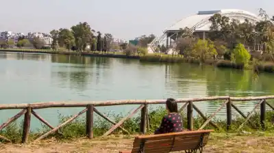 Tiraban basura en un terreno de Soldati y años después apareció algo que nadie esperaba