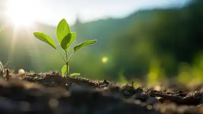 ¿Qué fuerza invisible nos empuja hacia un nuevo destino en estos días?