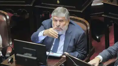 La Corte dejó sin efecto el tope a extranjeros y ahora el Senado mueve una ficha clave
