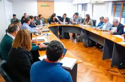Blanzaco reveló en el Senado el plan de salud mental que ya cambia el mapa sanitario entrerriano