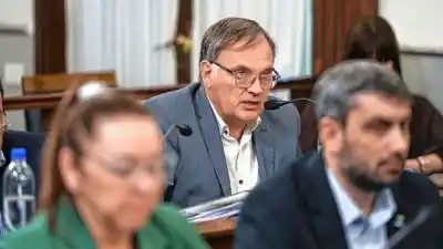 Berthet apuntó contra el oficialismo por una ley clave: "La pregunta es qué decisión política tomó"