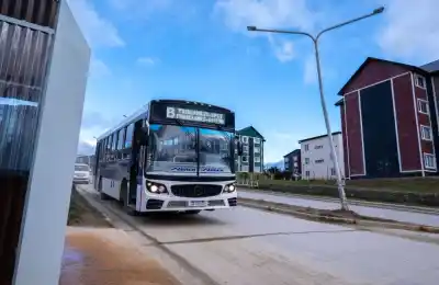 La ciudad que se quedó sin colectivos y hoy mueve una cifra que nadie esperaba