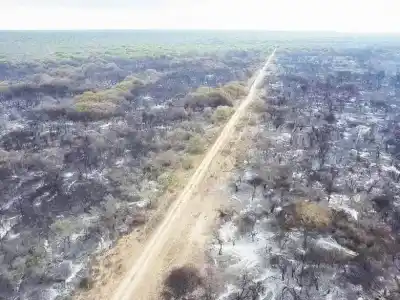El incendio que arrasó el Oeste ya no quema, pero lo que dejó atrás cambió la vida de cientos de familias