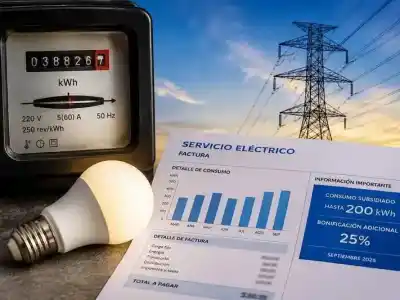 Pidió 1.000 kWh de subsidio para el verano y la respuesta oficial lo dejó helado
