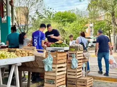 Llegaron las primeras sandías y melones al Mercado: el detalle que deben cumplir los vendedores