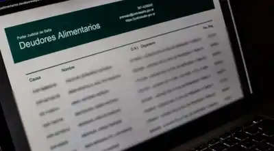 El registro de deudores alimentarios de Salta no para de crecer: ya son 2080