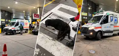 Una ambulancia del 107 atropelló a un perro en una estación de servicio y estalló la bronca en redes
