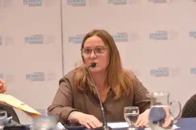 Senado bonaerense: un proyecto que podría cambiar el acceso a la leche materna en la provincia