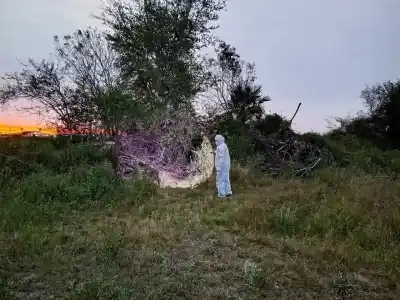 Juntaba leña en un descampado y encontró algo que lo dejó helado