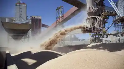 El campo liquidó US$3228 millones en septiembre, pero hay un dato que preocupa a todos