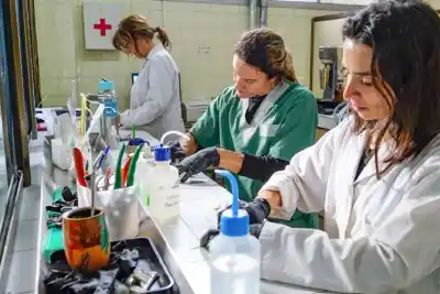Neuquén analiza sus suelos junto a más de 100 laboratorios: el detalle que pocos conocen