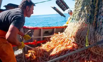El gremio de marineros cerró un aumento del 26%: qué número destrabó la temporada