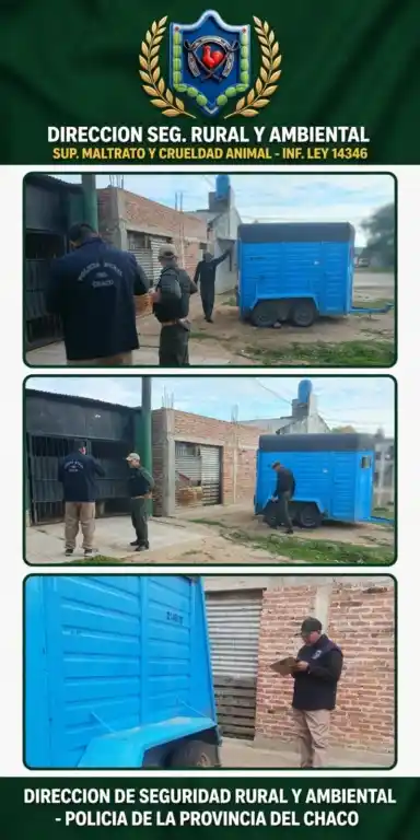 Un trailer con equinos apareció escondido en Barranqueras: lo que hallaron los agentes adentro