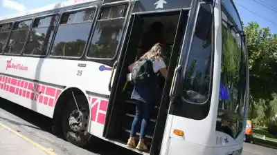 El boleto de colectivo en San Juan: revisan los costos tras el aumento a los choferes