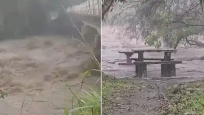 ¿Qué dejó el temporal en el sur? Un drama que se cobró una vida