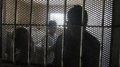 Adiós a la "travesura" para entrar al boliche: ahora ese DNI adulterado te puede costar hasta 8 años