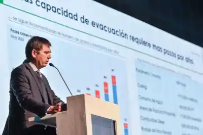 Vaca Muerta: la petrolera francesa que apuesta US$ 5.000 millones en una zona clave