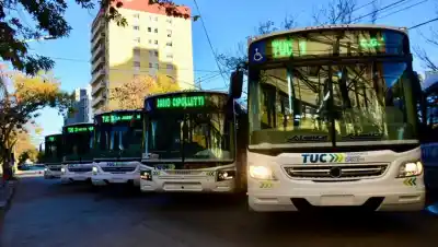 Cipolletti cumple 123 años y el domingo los colectivos no se pagan