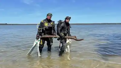 Buzos hallaron madera tallada de 10.500 años: ¿qué construyeron los cazadores del Mesolítico?