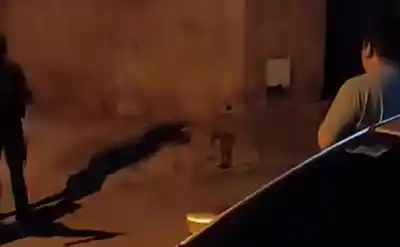 Un disparo en la cabeza en una gresca: la Justicia tomó una decisión con el acusado