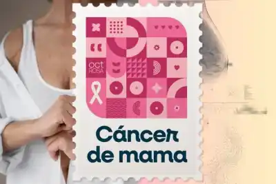 El estudio que puede salvar vidas en Neuquén: dónde hacerse la mamografía sin turno y en horario especial