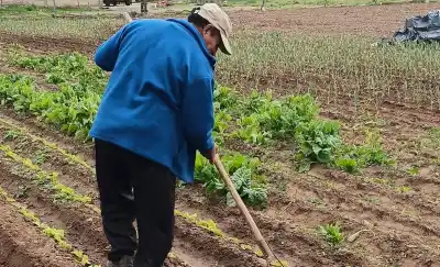 Trabajaba en Bolivia a los 8 años y hoy su chacra en La Pampa sorprende con un invento