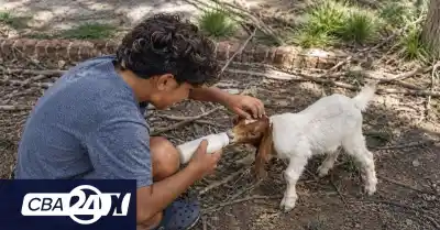 Córdoba busca familia para Lautaro, un adolescente de 13 años que espera ser adoptado