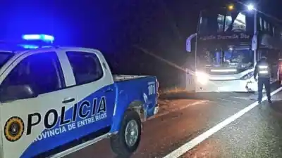 Un micro de larga distancia chocó contra una vaca en la ruta 14: qué pasó con el chofer