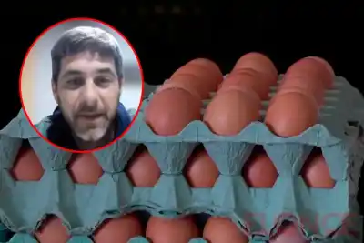 El consumo de huevos no para de crecer en Entre Ríos y ya mira un récord