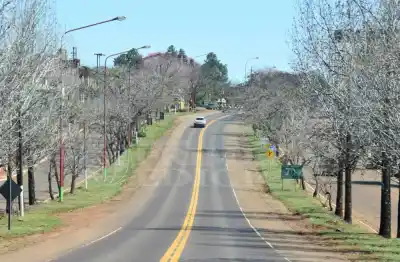 Vialidad apuntó contra Milei por las rutas: "No le ha asignado presupuesto"