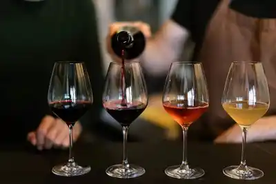 Vino a la Montaña: 15 bodegas, truchas ahumadas y un brindis con espumante neuquino