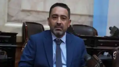 Un diputado misionero que votó con Milei ahora quiere voltear el DNU 70/23: "Nos liquidó"