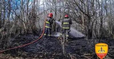 Dos focos de fuego en Santa Cruz: lo que encontraron en el terreno complicó a los bomberos