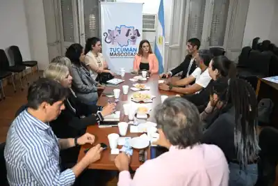 Tucumán Mascotas suma un servicio gratuito que recorre la provincia: dónde atiende esta semana