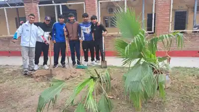 Alumnos del Favaloro plantaron palmeras y dejaron una huella que no esperaban