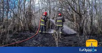 Un cigarrillo encendido, restos de poda y un susto en las chacras de Gregores