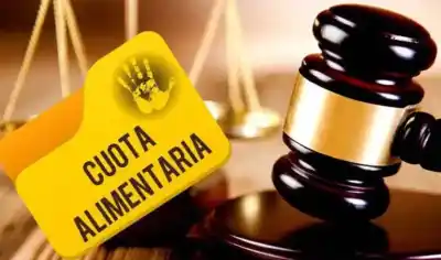 Salta ya tiene más de 2.000 deudores alimentarios: hay uno que debe cuota desde 2004
