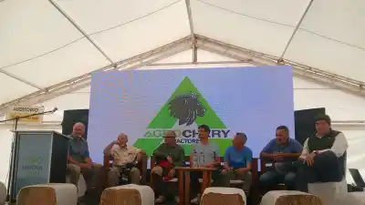 El ajo sanjuanino perdió el 70% de sus hectáreas y ahora depende de una sola jugada con Brasil