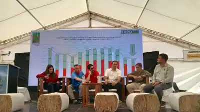 El tomate para industria se hunde a su peor nivel en once años: la cifra que nadie quería ver en San Juan