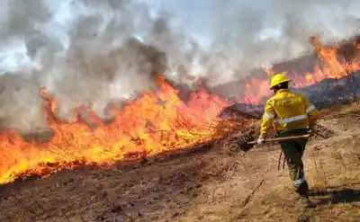 Jujuy en alerta: los incendios forestales no dan tregua y ya hay un número que preocupa