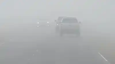 Alerta por niebla en La Rioja: tres departamentos en la mira