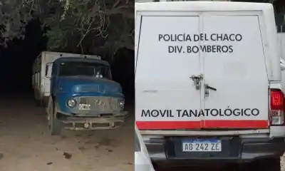 Cargaba ganado con su hijo: el camión se movió y no lo vio