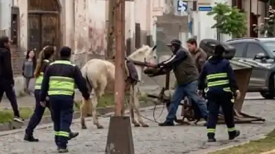 Se soltó un caballo en pleno centro de Metán y terminó bajo custodia policial