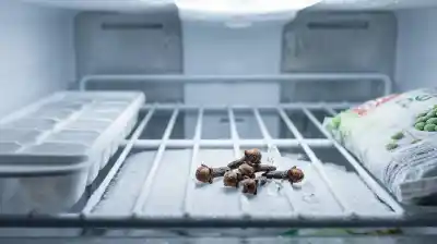 ¿Qué esconden cinco clavos de olor en el freezer? Un truco que mezcla lo útil con lo simbólico.