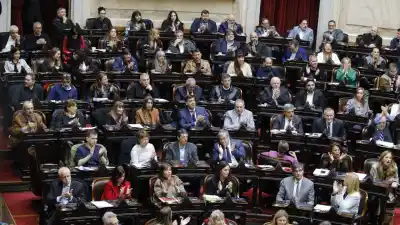 La oposición quiere voltear el DNU y ya tiene fecha: le faltan 14 diputados para sentarse