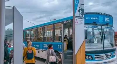 Ushuaia pagó 5 colectivos para toda la ciudad: hoy la apuesta que cambió el transporte